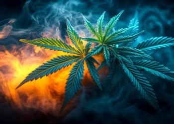 ಮಣಿಪಾಲ ಪೊಲೀಸರು ಗಾಂಜಾ ಮಾರಾಟ ಮಾಡಿದ್ದಕ್ಕಾಗಿ ಯುವಕನನ್ನು ಬಂಧಿಸಿದ್ದಾರೆ