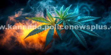 ಮಣಿಪಾಲ ಪೊಲೀಸರು ಗಾಂಜಾ ಮಾರಾಟ ಮಾಡಿದ್ದಕ್ಕಾಗಿ ಯುವಕನನ್ನು ಬಂಧಿಸಿದ್ದಾರೆ