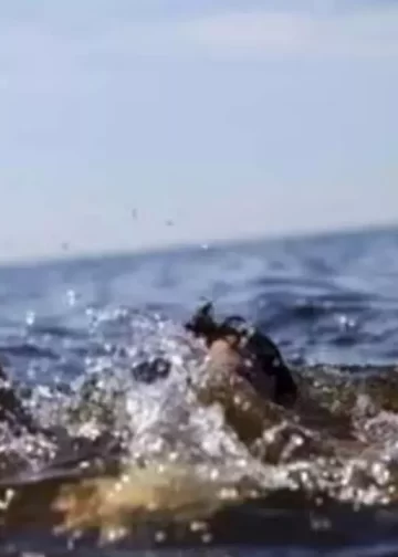 ಹಿರಿಯಡಕ: ನದಿಯಲ್ಲಿ ಈಜಲು ಹೋದ ವಿದ್ಯಾರ್ಥಿ ದುರಂತ ಮರಣ