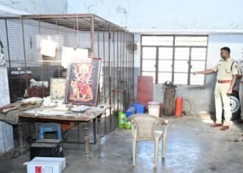 ಡಿಎಆರ್ ತಪಾಸಣೆ ವಿಮರ್ಶೆಗಳು ಫ್ಲೀಟ್, ಸೌಲಭ್ಯಗಳು