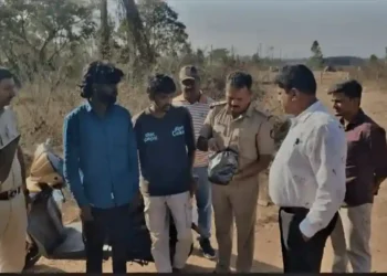 ಬೇಲೂರಿನಲ್ಲಿ ಗಾಂಜಾ ಮಾರಾಟಗಾರರ ಬಂಧನ