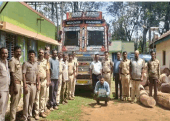 ಅರಣ್ಯ ಅಧಿಕಾರಿಗಳು ಮರ ಕಳ್ಳಸಾಗಣೆ ಜಾಲವನ್ನು ಭೇದಿಸಿದ್ದಾರೆ