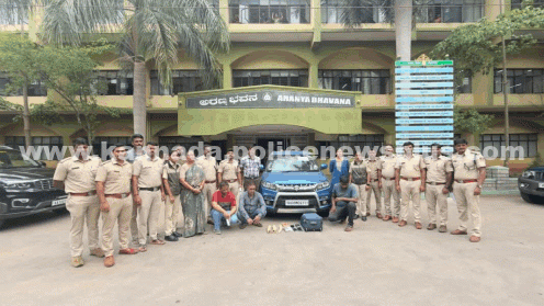 ಅರಣ್ಯ ಅಧಿಕಾರಿಗಳು ಆನೆ ದಂತಗಳನ್ನು ವಶಪಡಿಸಿಕೊಂಡರು