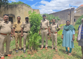 ಅಬಕಾರಿ ಅಧಿಕಾರಿಗಳು ಗಾಂಜಾ ಕೃಷಿಯನ್ನು ಭೇದಿಸಿದ್ದಾರೆ