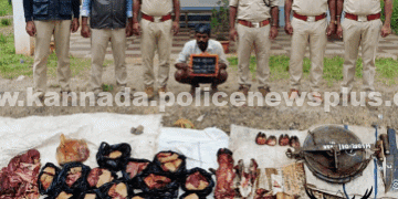 ಕಾಡುಹಂದಿ ಮಾಂಸ ವಶಪಡಿಸಿಕೊಳ್ಳಲಾಗಿದೆ, ಬಂಧಿಸಲಾಗಿದೆ