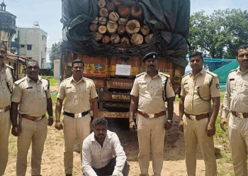 ಅರಣ್ಯ ಅಧಿಕಾರಿಗಳು ಅಕ್ರಮ ಮರಗಳನ್ನು ವಶಪಡಿಸಿಕೊಂಡರು