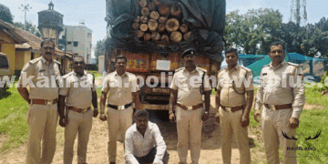 ಅರಣ್ಯ ಅಧಿಕಾರಿಗಳು ಅಕ್ರಮ ಮರಗಳನ್ನು ವಶಪಡಿಸಿಕೊಂಡರು