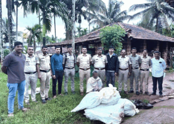 ಸಾಗರ ಪೊಲೀಸರು 16.4 ಕೆಜಿ ಗಾಂಜಾ ವಶಪಡಿಸಿಕೊಂಡಿದ್ದಾರೆ